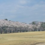 ☆大好きな仕事☆の詳細へ